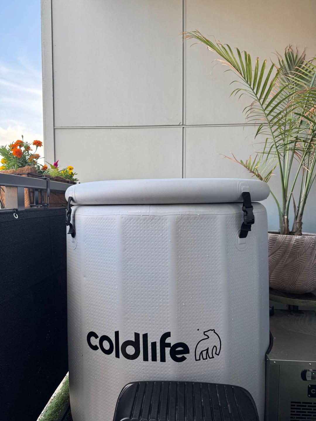 Customer photo review of Ultimate Lite