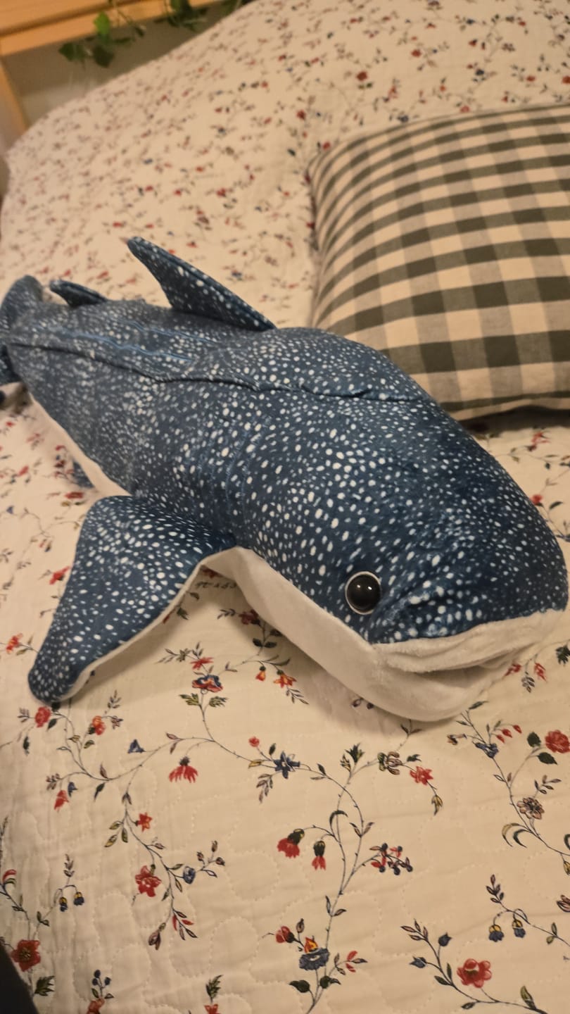 Customer photo review of Whale Shark Soft Stuffed Plush Toy