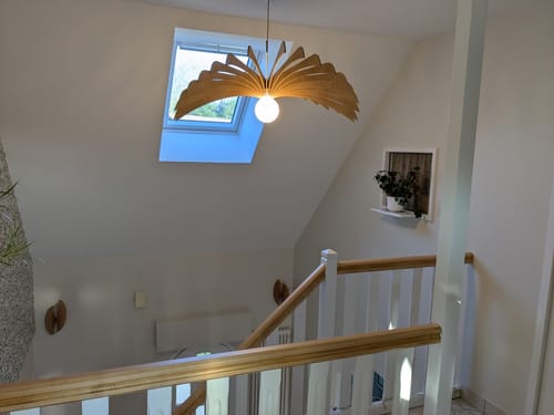 Customer photo review of Aigle teinté Chêne | Suspension