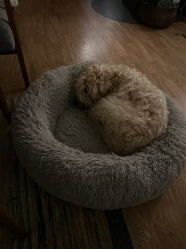 Customer photo review of CalmBed - Motverkar stress & hjälper mot ångest