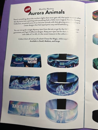 Customer's January 2026 Booklet open to the 'Monthly Mystery Aurora Animals' page, showing the collection's designs.