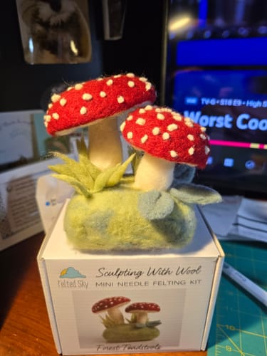 Customer photo review of Forest Toadstools Mini Needle Felting Kit