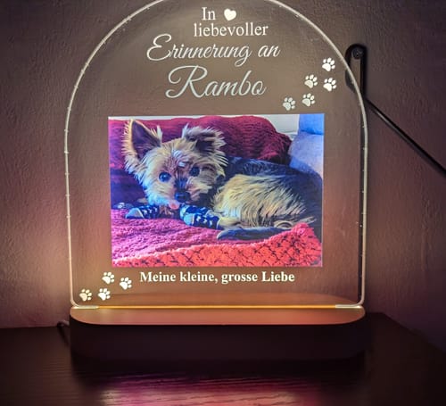Customer photo review of Zur liebevollen Erinnerung – LED-Lampe für Hund/Katze