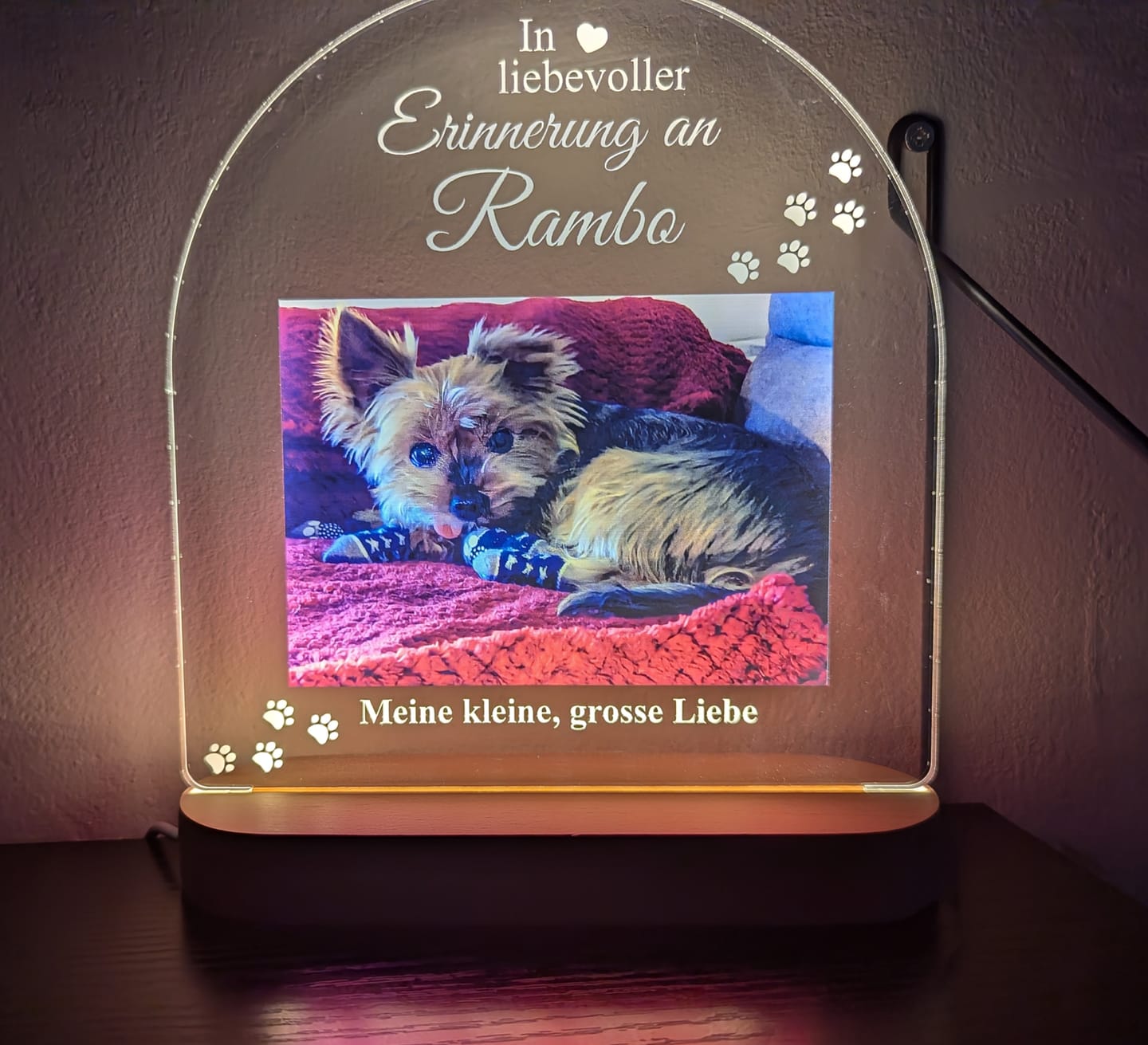 Customer photo review of Zur liebevollen Erinnerung – LED-Lampe für Hund/Katze