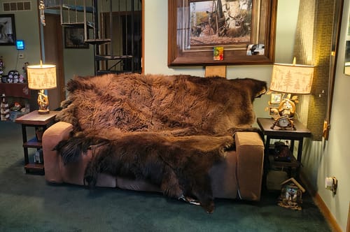 Customer photo review of Bison Hides #35