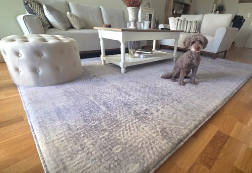 Reviewer's large Silver Mist Mellow Mat in their living room with their dog sitting on it.