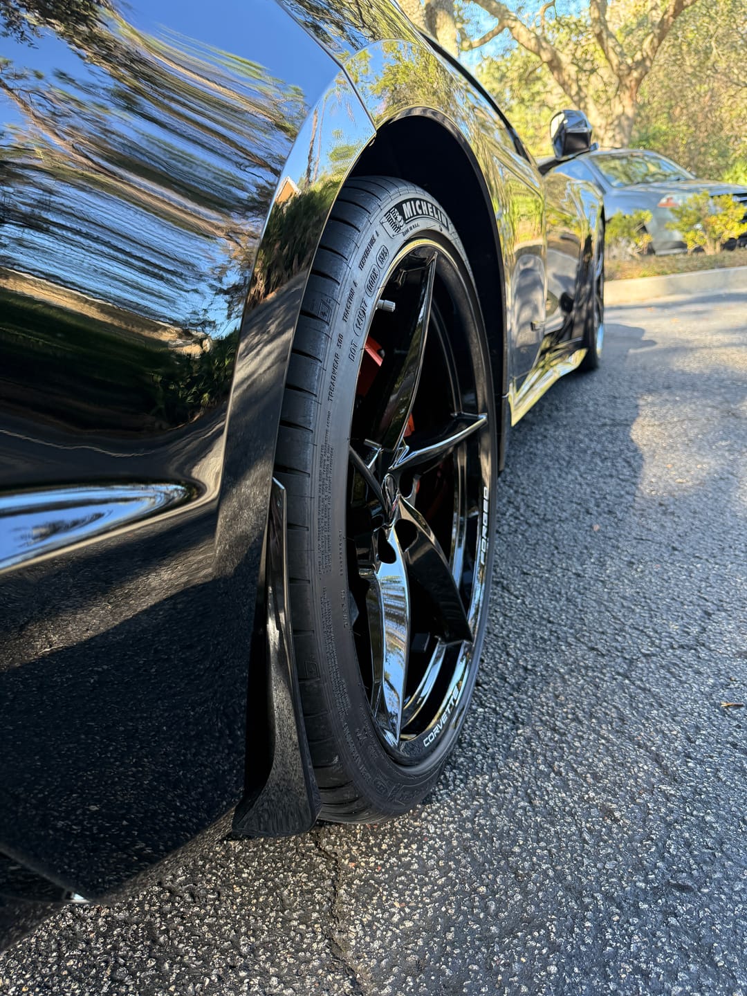 Customer photo review of Corvette C8 Z06 / E-Ray XL Extended Splash Guard