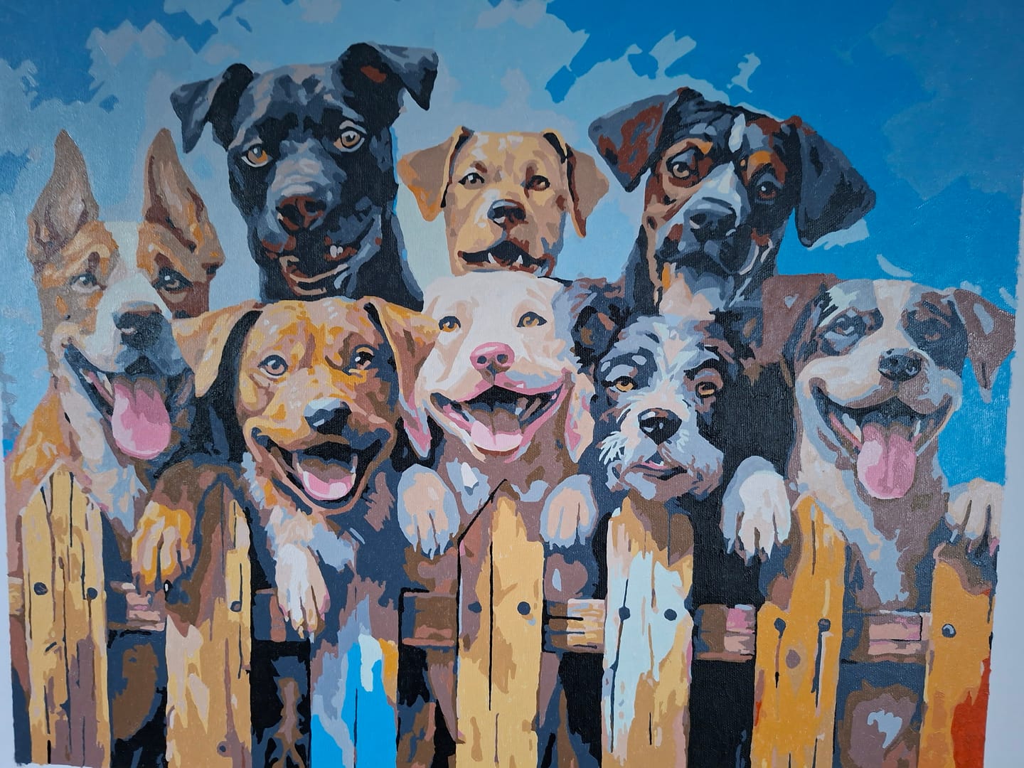 Customer photo review of Dog Days of Summer
