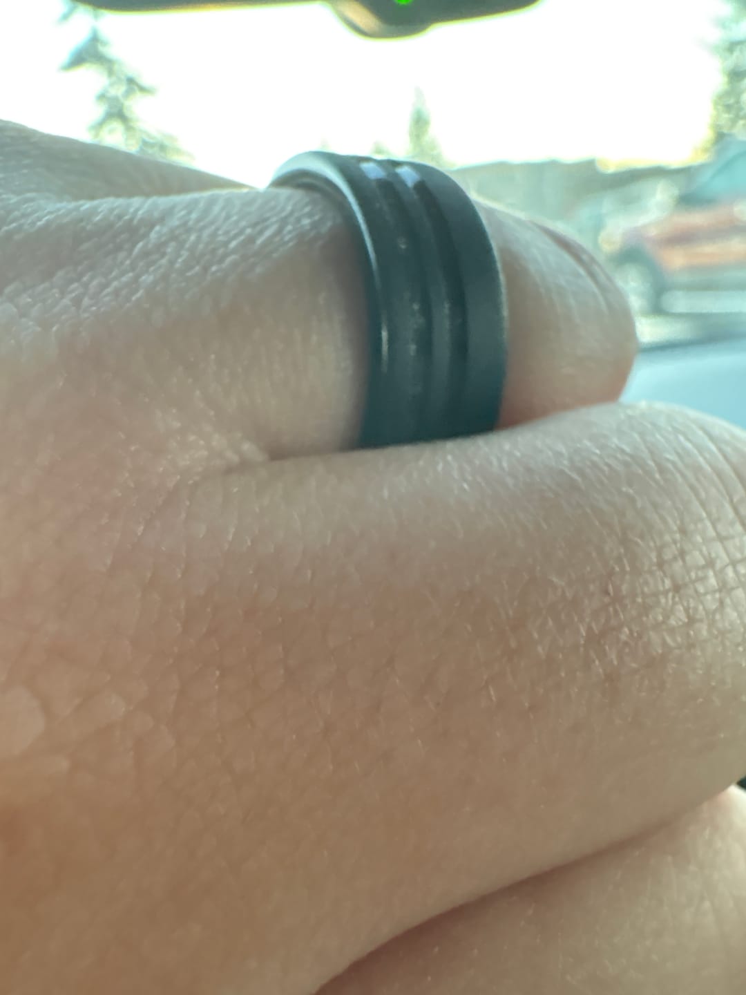Customer photo review of The Meteorsaur