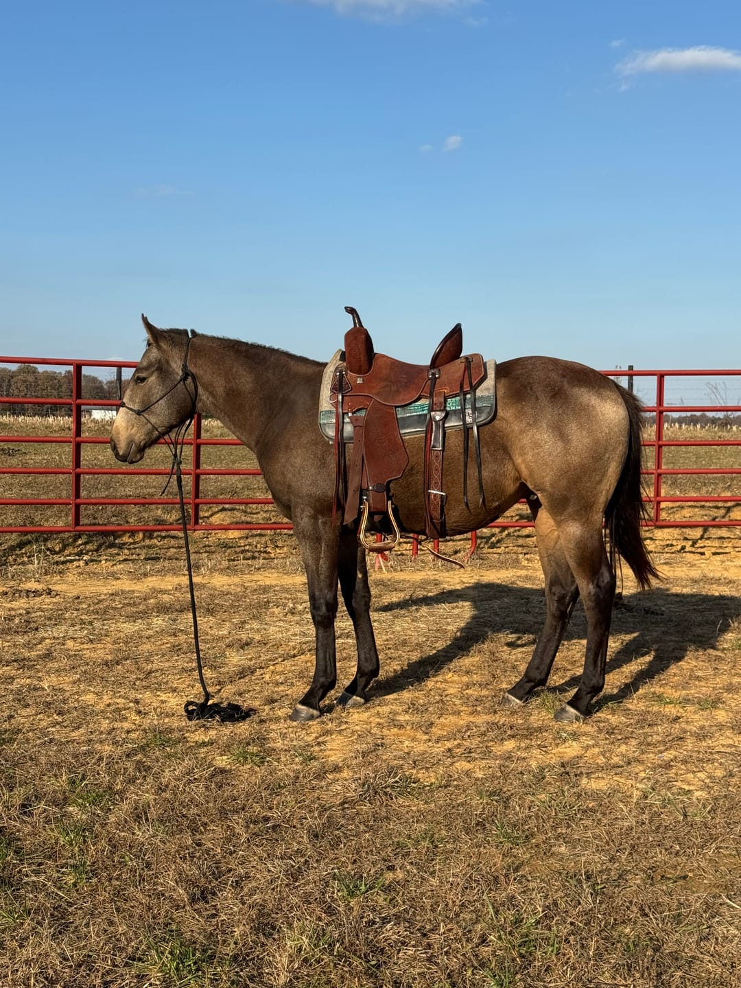 Customer photo review of Intensify® Growth & Development