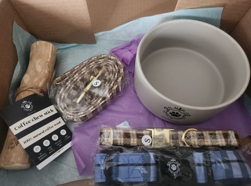 Customer photo review of Mystery Box - Dog