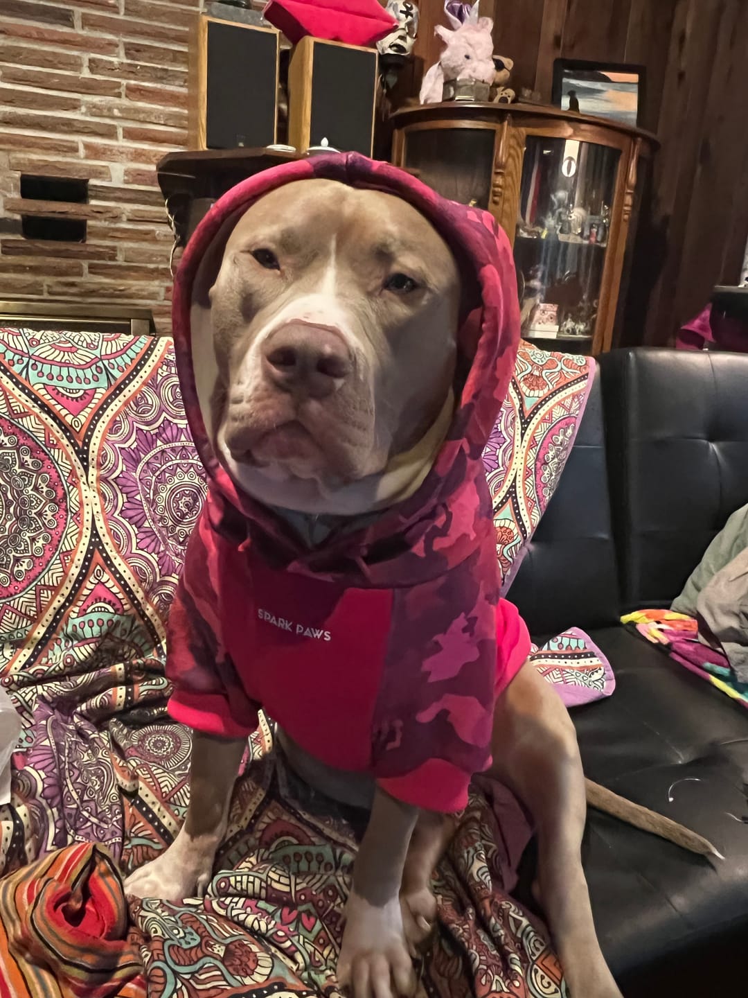 Customer photo review of WarmShield Water-Resistant Jacket - Lilac