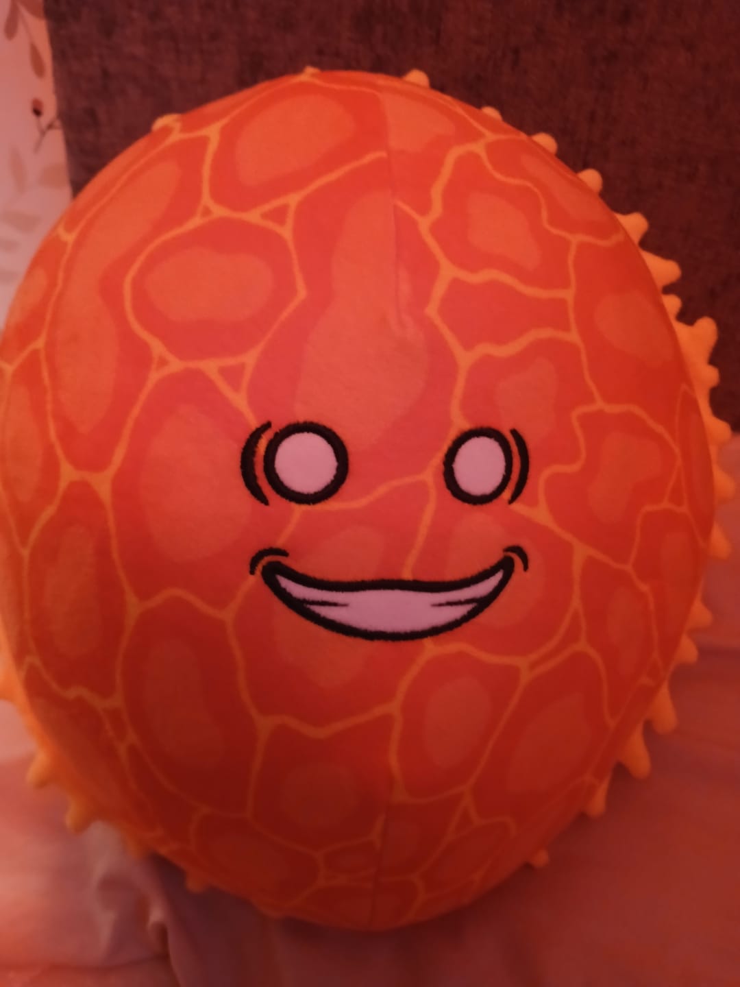 Customer photo review of The SolarBalls Sun Plush