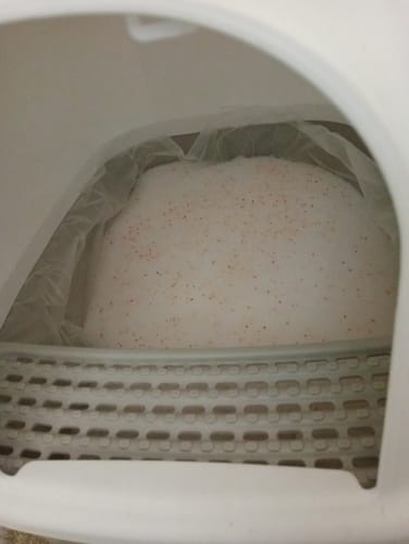 Customer photo review of Fit Litter