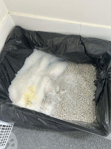 Customer photo review of 3 Month Supply - 1 Cat