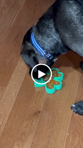 Customer video review of FreezShamrock - Premium Enrichment Toy