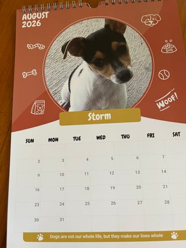 Customer photo review of Official Pupvote Cutest Pets of the Year Calendar (2026)