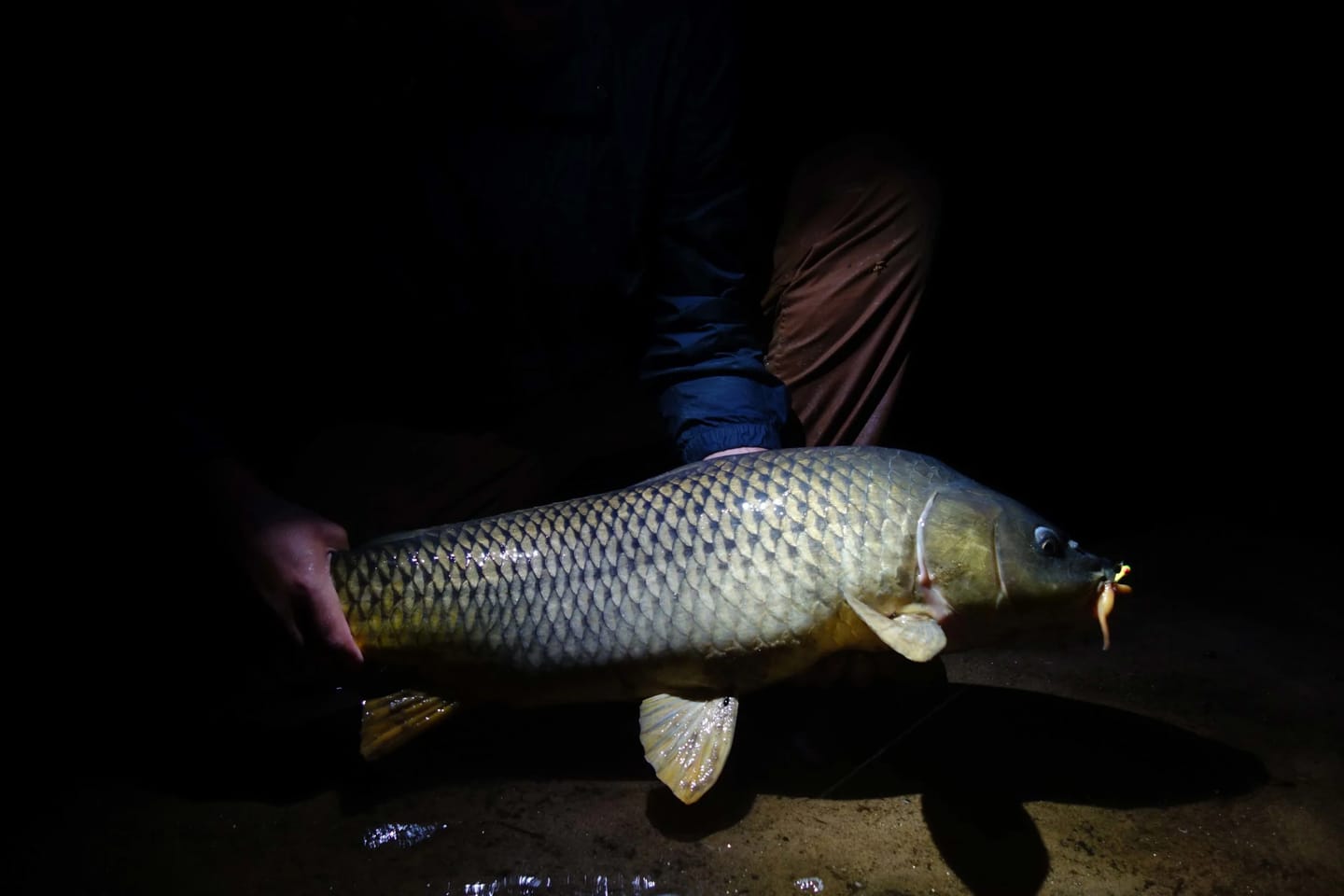Customer photo review of Luminous Live Bait Float