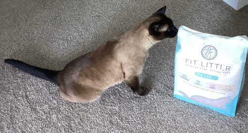 Customer photo review of Fit Litter PLUS - 3 month supply - 3 cat