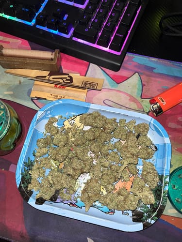 Customer photo review of Blueberry Muffin - 28 Grams - Indica