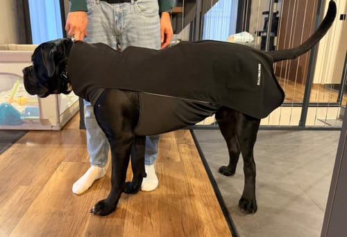 Customer photo review of Dog Fleece With Zip - Black