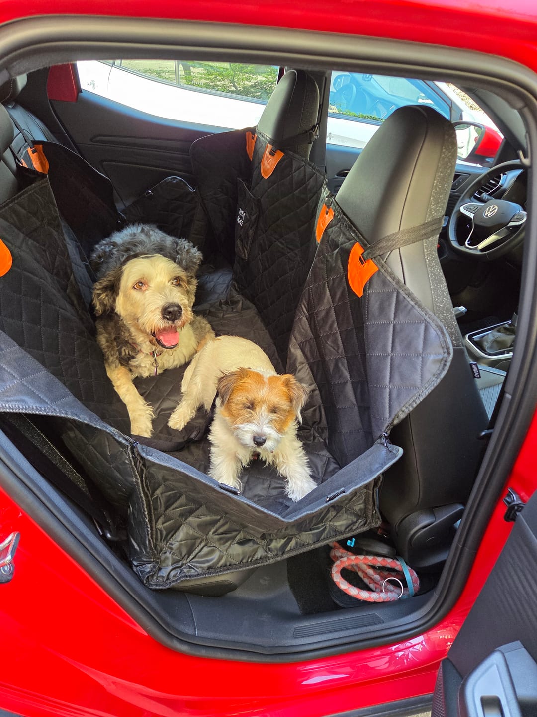Customer photo review of Funda Impermeable THE DOGS — Auto limpio, perro seguro