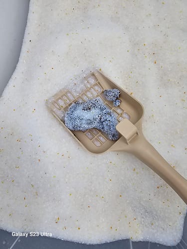 Customer photo review of 3 Month Supply - 3 Cat