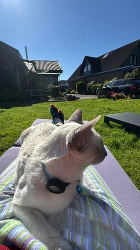 Customer photo review of ZENlibre-traceo FELIX