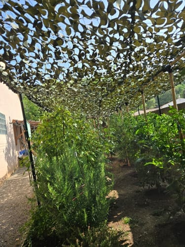 Customer photo review of Grünes Tarnnetz