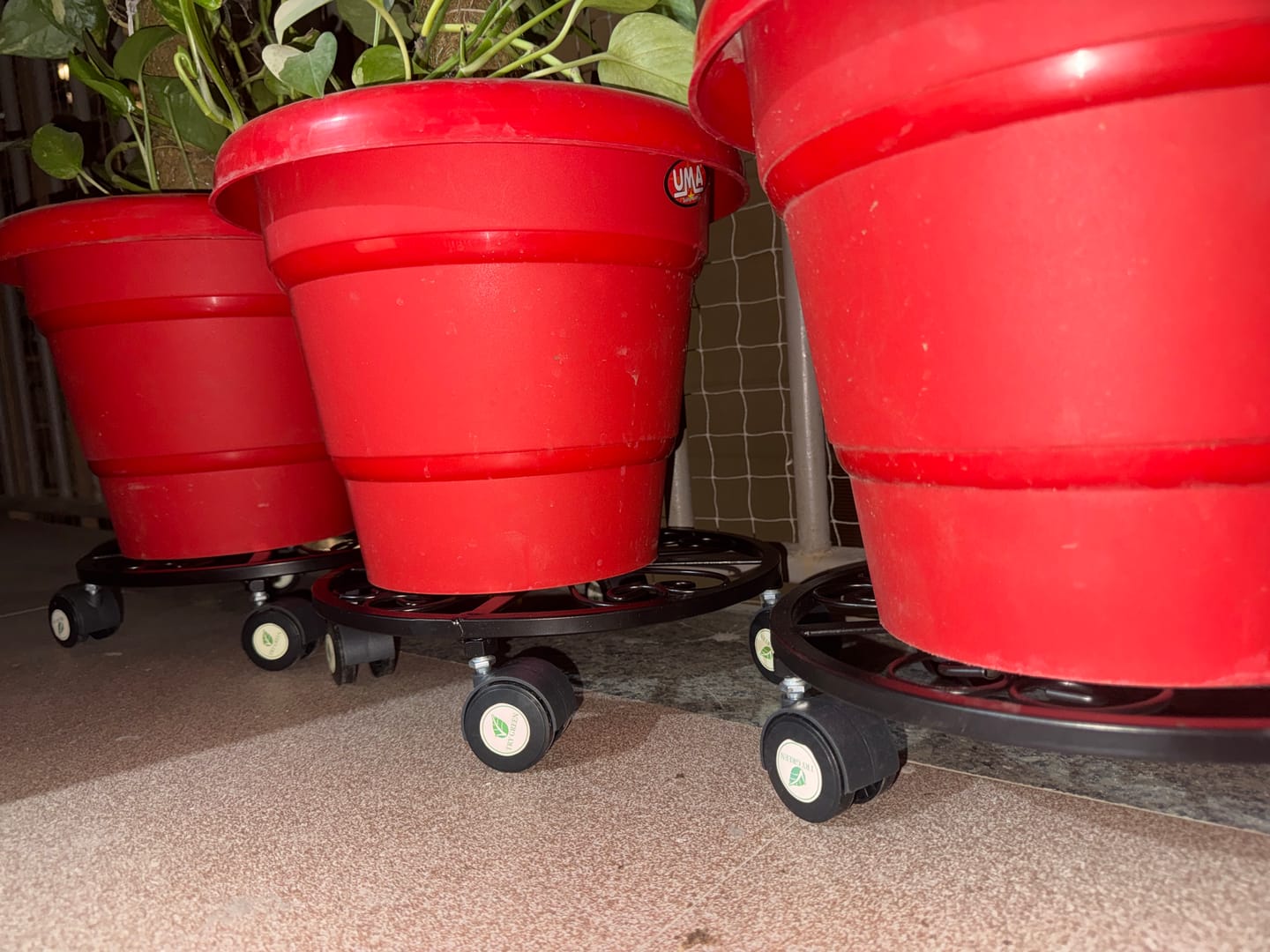 Customer photo review of TryGreen Luna Wheel Rolling Plant Stand for Planters