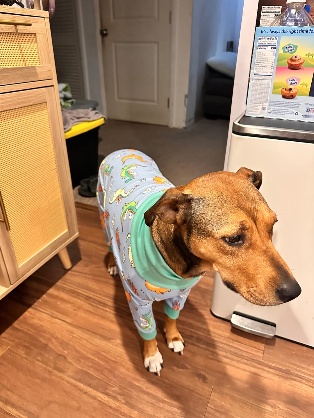 Customer photo review of Dog Pajama - Dragons