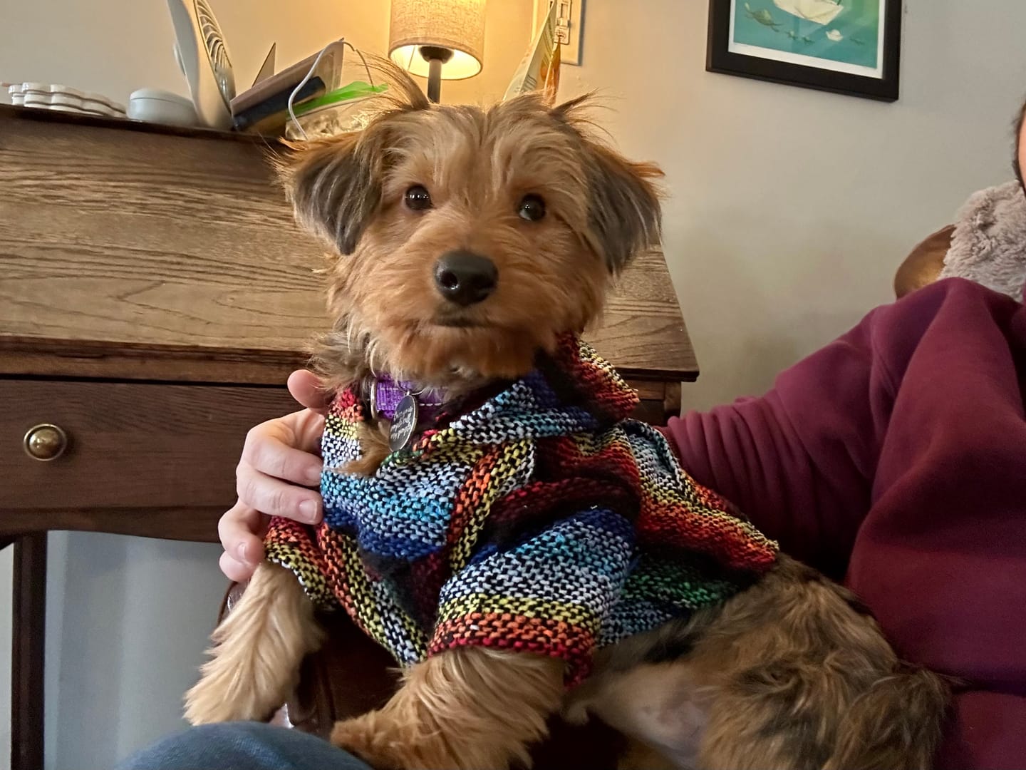 Customer photo review of Playa Poncho – Mystery Color (Bella, Charlie, or Fun Edition)