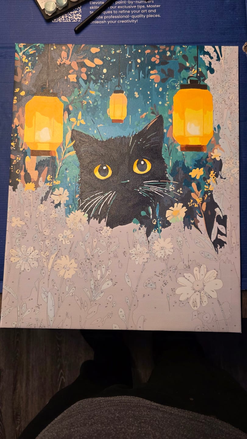 Customer photo review of Kitty Lights