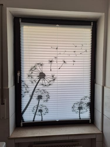 Customer photo review of Plissee Motiv "Pusteblumen Grafik"