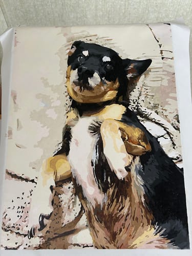 Reviewer's completed paint by numbers portrait of their dog lying on its back, made with the custom kit.