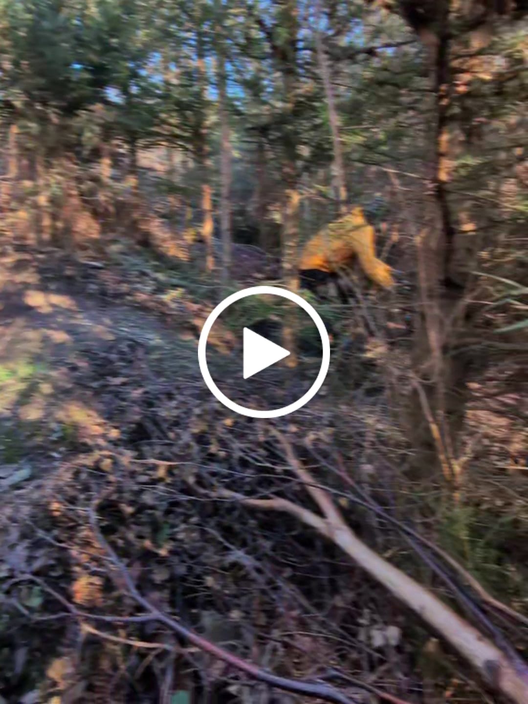 Customer video review of Geographic | Trail Trouser