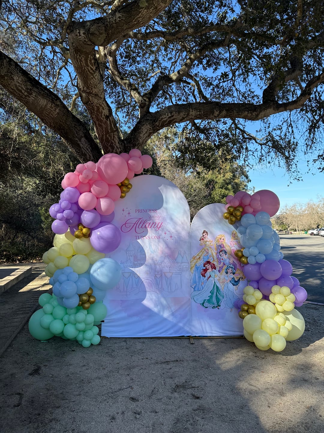 Customer photo review of Customization Birthday Wedding Baby Shower Bridal Decade Party Arch Backdrop Wall Cloth Cover