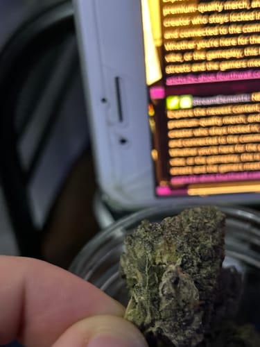 Close-up of a customer holding a dark green Rainbow Runtz bud over a glass jar.
