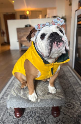 Customer photo review of Puffer Vests