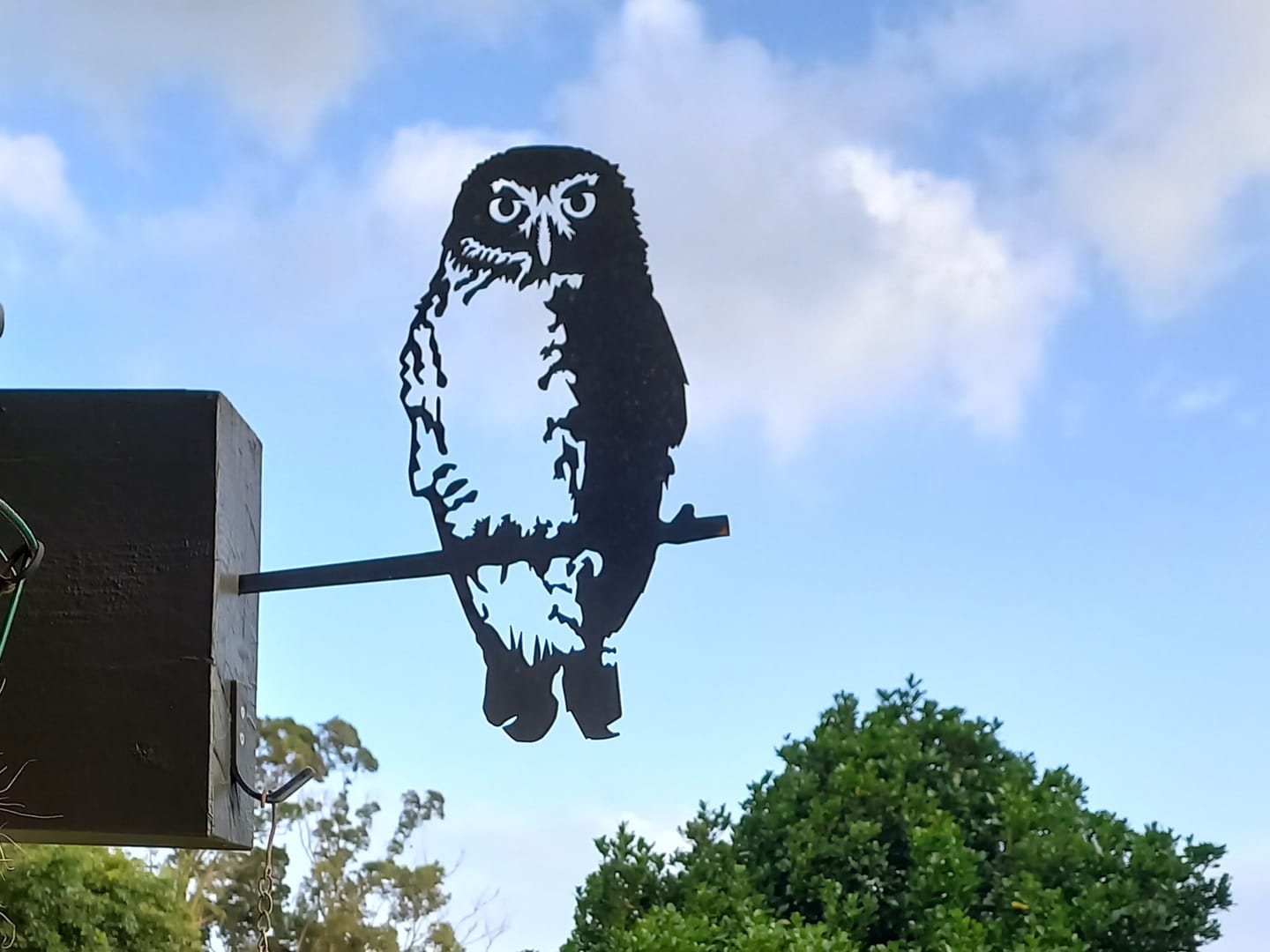 Customer photo review of Ruru / Morepork