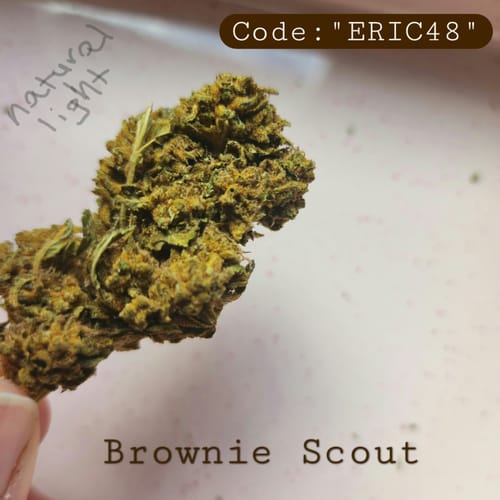 Customer photo review of Bulk THCA Flower Pounds
