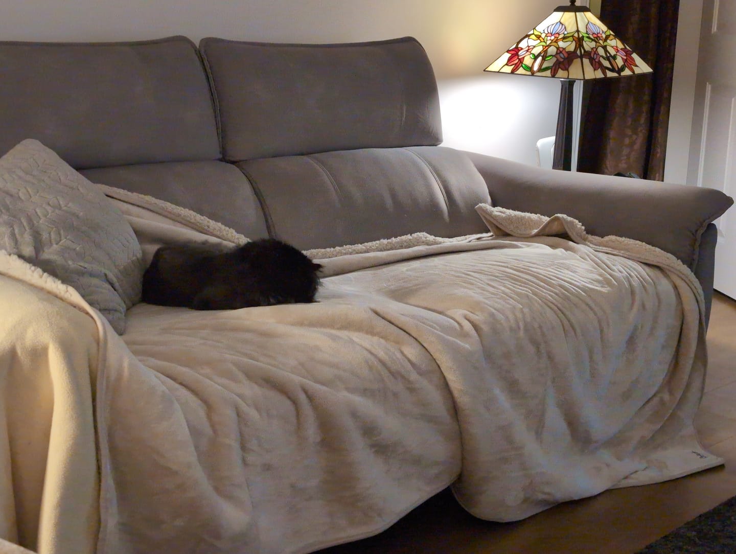 Customer photo review of Waterproof Splash Blanket™ - Champagne The OG