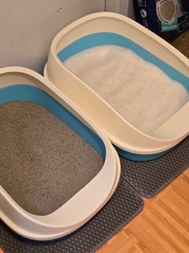 Customer photo review of Fit Litter