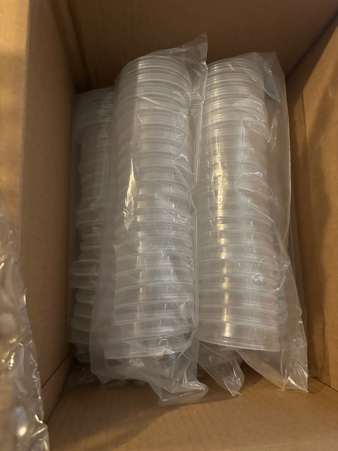 Customer photo review of Autoclavable/Reusable 90mm*15mm Polypropylene Petri Dish