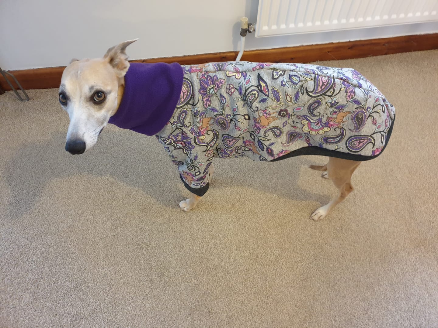 Customer photo review of Unicorns and Paisley Sweatshirt Fabric