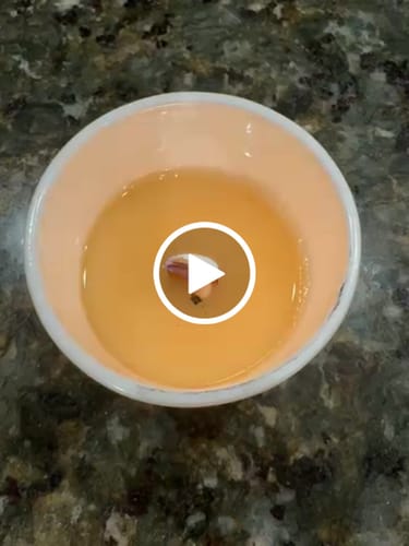 Customer video review of Wild Capri Candle