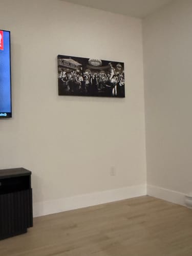 Customer photo review of PARTY OF THE CENTURY CANVAS