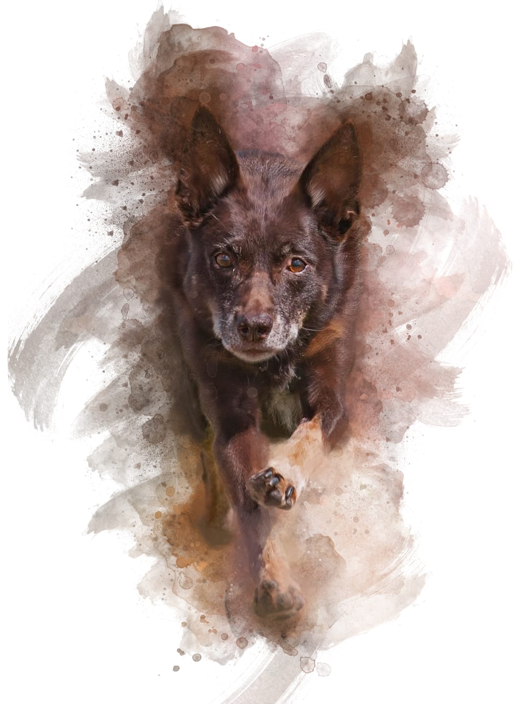 Customer photo review of Classic Watercolor Pet Art – Custom Watercolor Pet Portrait