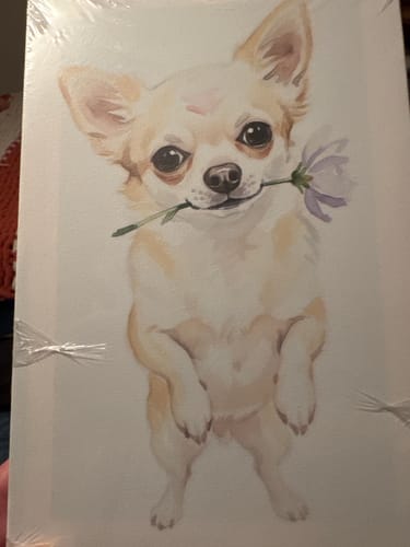 Customer photo review of Artzuzu Custom Portrait For Pets - Petal Whisper