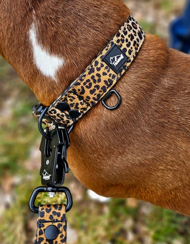 Customer photo review of Walk Leash Leopard - Säkert nylonkoppel i olika längder